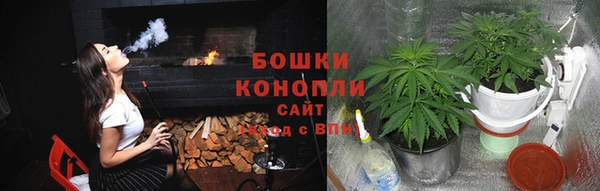 тгк Дмитров
