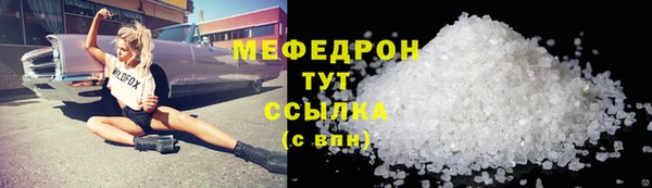 мдпв Ельня