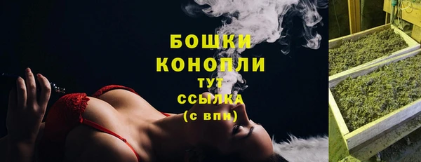 мдпв Ельня