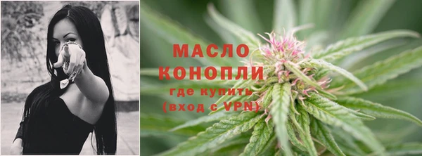 сатива Дмитриев