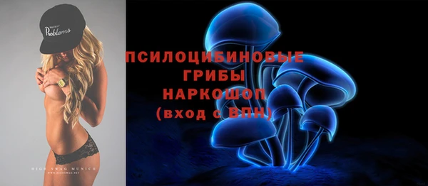 мдпв Ельня
