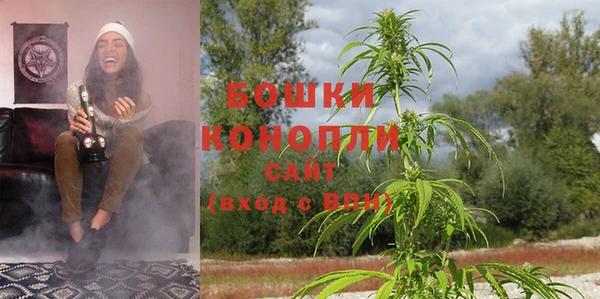 мдпв Ельня