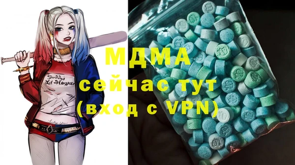 сатива Дмитриев