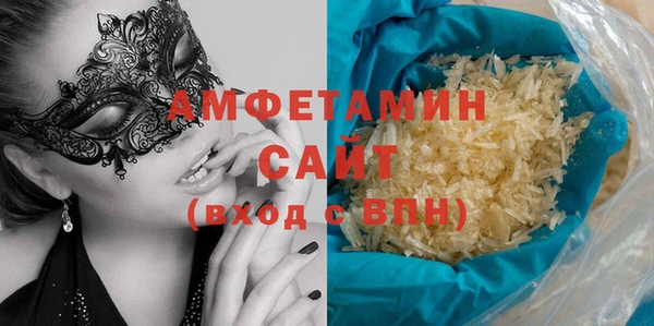 мдпв Ельня