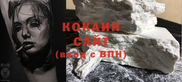тгк Дмитров