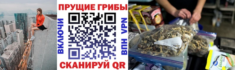ссылка на мегу tor  Полесск  Псилоцибиновые грибы GOLDEN TEACHER 